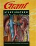 Agur Anne M.R., Lee Ming J. - Atlas anatomii Grant 