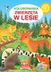 praca zbiorowa - Kolorowanka. Zwierzęta w lesie