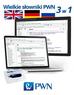 Wielki multimedialny słownik PWN 3w1 angielski niemiecki rosyjski 
