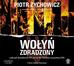 Piotr Zychowicz - Wołyń zdradzony. Audiobook