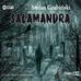 Stefan Grabiński - Salamandra audiobook