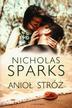 Sparks Nicholas - Anioł Stróż 