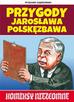 Ryszard Dąbrowski - Przygody Jarosława Polskęzbawa