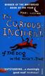 Haddon Mark - Curious Incident of the Dog in Night-Time 
