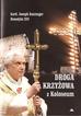 Benedykt XVI - Droga krzyżowa z Koloseum