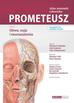 M. Schuenke, E. Schulte, U. Schumacher - PROMETEUSZ Atlas anatomii człowieka Tom 3 Głowa, szyja i neuroanatomia. Mianownictwo łacińskie i 