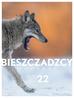 Opracowanie zbiorowe - Kalendarz 2022 Bieszczadzcy mocarze (wilk)