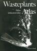 Lelonek Diana - Wasteplants Atlas Atlas śmiecioroślin 