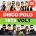 praca zbiorowa - Disco Polo Hits vol.1 (2CD)