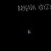 Brygada Kryzys - Brygada Kryzys (na 40-lecie) LP