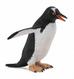 Pingwin gento