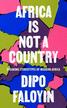 Faloyin Dipo - Africa Is Not A Country 