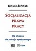 Janusz Żołyński - Socjalizacja prawa pracy