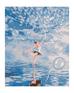 Malowanie po numerach - Niebieska balerina 40x50cm