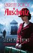 Steve Matthews, Beata Hrycak-Domke - Sekretny pokój w Auschwitz