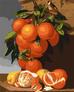 Malowanie po numerach - Pomarańcze i cytryny 40x50