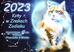 praca zbiorowa - Kalendarz 2023 Koty w Znakach Zodiaku