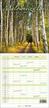 praca zbiorowa - Kalendarz 2023 Wieloplanszowy - Malowniczy las
