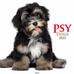 Kalendarz 2023 spirala Psy KD20 