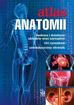 Justyna Mazurek - Atlas anatomii
