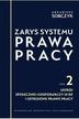 Arkadiusz Sobczyk - Zarys systemu prawa pracy T.2