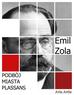 Emil Zola - Podbój miasta Plassans