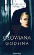 Aleksandra Pawłyszyn - Ołowiana godzina