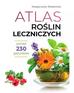 Małgorzata Mederska - Atlas roślin leczniczych