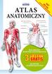Atlas anatomiczny. Kolorowe rysunki anatomiczne. 3 plakaty gratis. Słownik czterojęzyczny 
