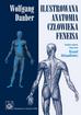Dauber Wolfgang - Ilustrowana anatomia człowieka Feneisa 