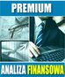 e-BizCom - Analiza Finansowa - wersja Premium