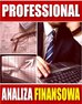 e-BizCom - Analiza Finansowa - wersja Professional