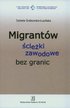 Grabowska-Lusińska Izabela - Migrantów ścieżki zawodowe bez granic 