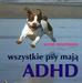 Hoopmann Kathy - Wszystkie psy mają ADHD 