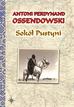 Ossendowski Antoni Ferdynand - Sokół Pustyni 