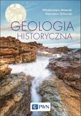 Włodzimierz Mizerski - Geologia Historyczna