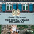 Małgorzata J. Kursa - Malwina i Eliza na tropie T.2 Wszystko... Audiobok