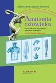 Suder Elżbieta, Brużewicz Szymon - Anatomia człowieka. Podręcznik i atlas dla studentów licencjatów 