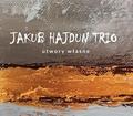 Jakub Hajdun Trio - Utwory własne CD
